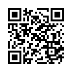 ��������2ÿ�������