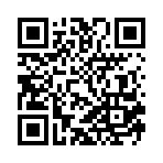 ����Ⱥ�۽ֻ�����