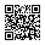 ������˫