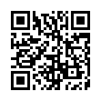 ����Զ��H5