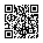 ���������ֽ���֧��