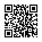 �������¼