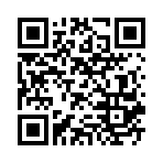 �۹���ʦʮ������