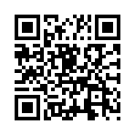 ���޴�½����