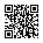 ���˷ɽ����VIP��