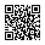 �Ͻ�ͻ��֮�µ�ǹ��