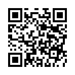 ���紫˵GM�������