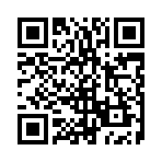 ��������H5