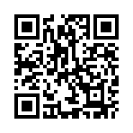 ����������Ԫ��丣��