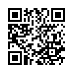 �����������Ԫ��Ͷ��