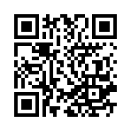 ��������H5