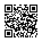 ��ʦ��������