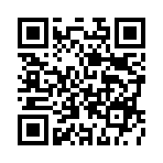 ������˫