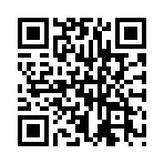 �������Ĭ����