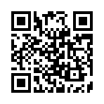 ������ʧ����