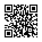 ���ŷɻ����������GM