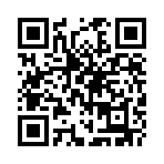 ���ɱ���Q������