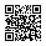 ʥ��֮սGM������