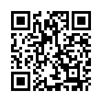 ʧ��������