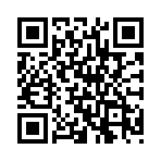 ������ȫ�������