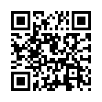 ������Ȩ��������