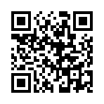 ������Է���ѡ