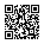 �ʶ�������������