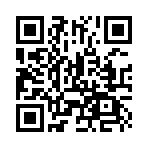 �����޵����ޱ����