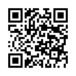 ���������߷���VIP