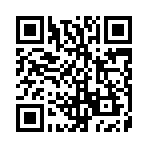 ӥ��������������