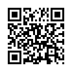 Զ��������������V