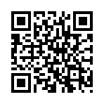 ��������˫����廢��