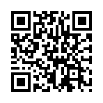 ָ������ҹ�֮����