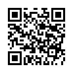 �����������޳���