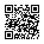 ��������4��Ԫ���