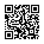 ������׽��������