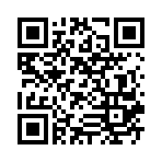 ħ���Ҷ������ѩ����