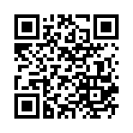 žž����2�ݽ�����