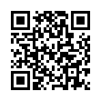 Ȩ������