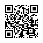 Ȩ���������������