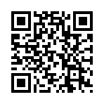 Ȩ������