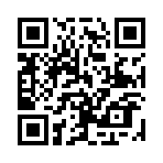 ɽ��������¼