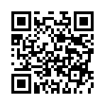 ʢ������