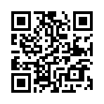 ʥս��˵����