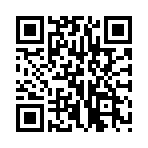 ʥս��˵0.1�۵�ָ����