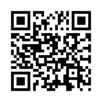 ˫������