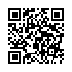 ˫������