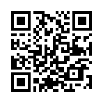 ͣ��������