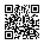 ��ʦ����