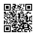 �������ʥ������